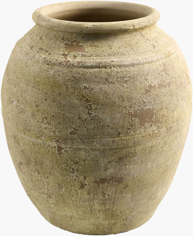 Category Image