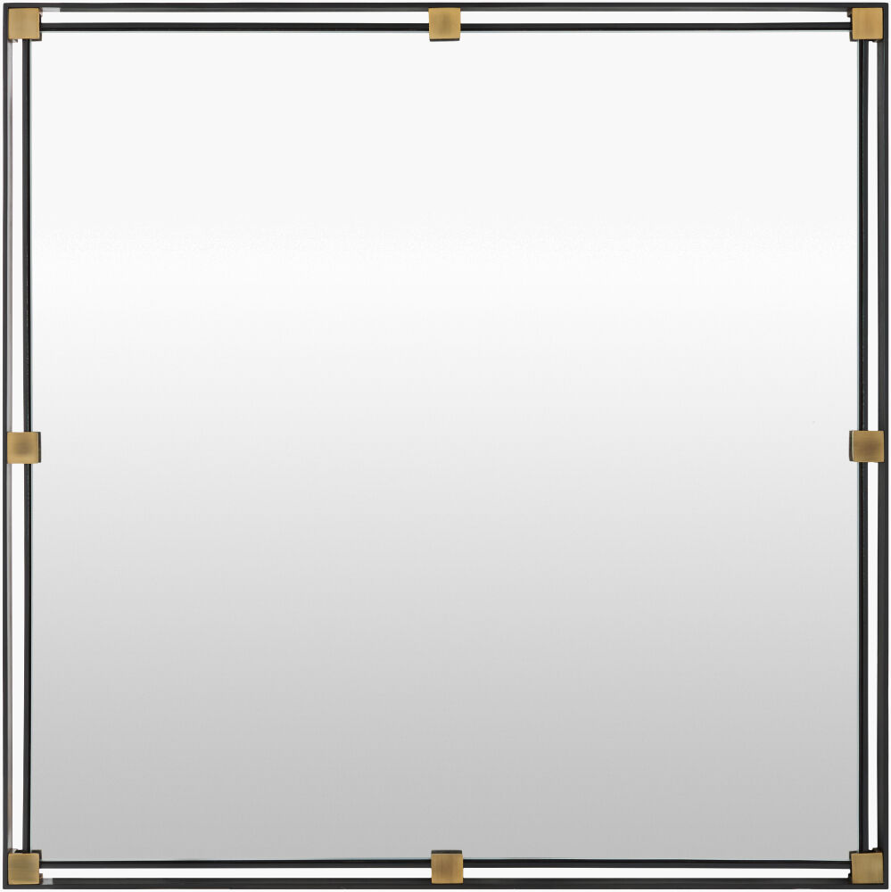 CASI-001