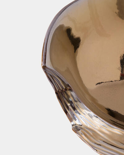 Altered Whelk-Bronze