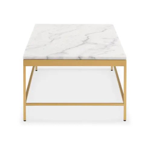 Vienna Lg Rect Coffee Table - Marble/Brushed