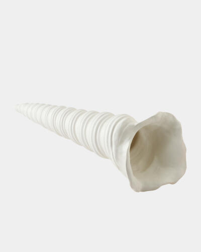 Turbinio Shell Vase-White