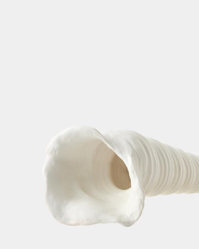 Turbinio Shell Vase-White
