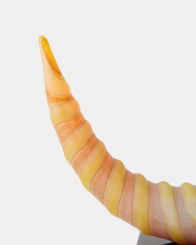 Mounted Horn-Frosted Iris Gelp