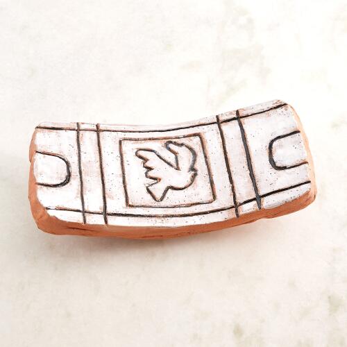 Paradise Platter-Bird