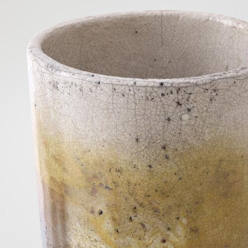 Trophy Vase-Irridescent