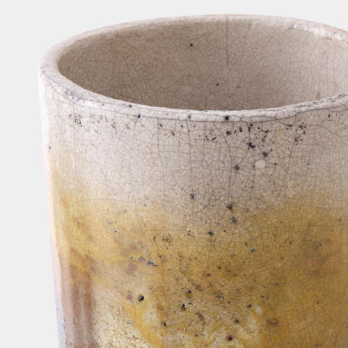 Trophy Vase-Irridescent