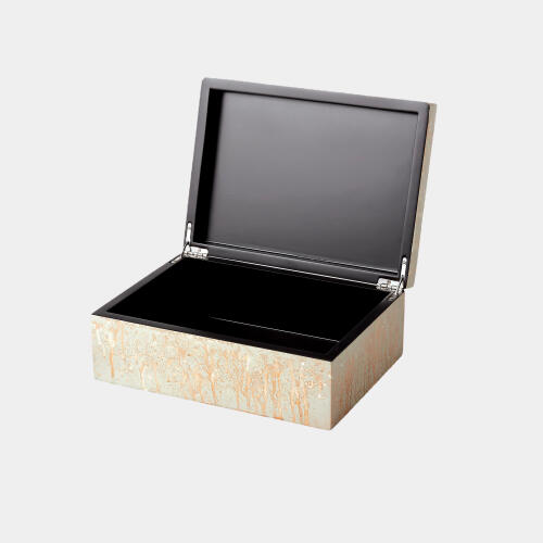 Champagne Silver Leaf Box