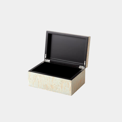 Champagne Silver Leaf Box