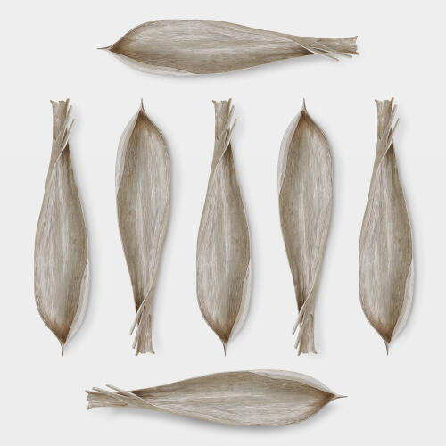 Palm Seed Pod-Nickel