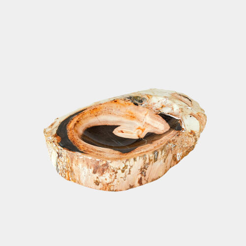 Petrified Wooden Bowl-Beige/Black