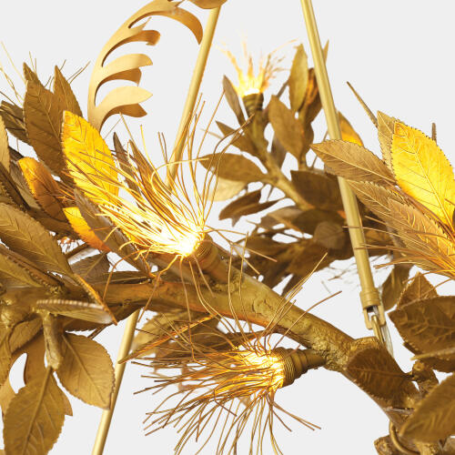 Albizia Chandelier