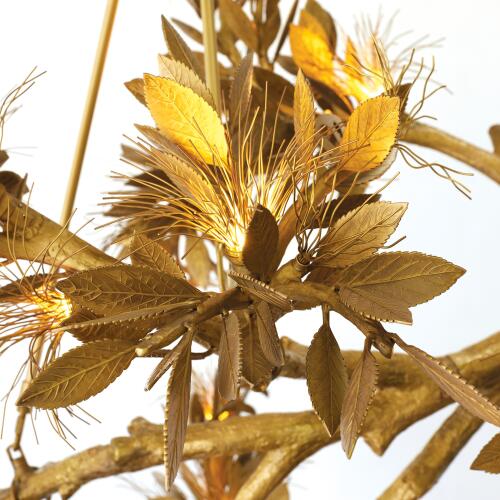 Albizia Chandelier