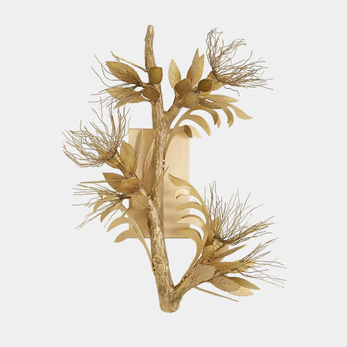 Albizia Wall Sconce