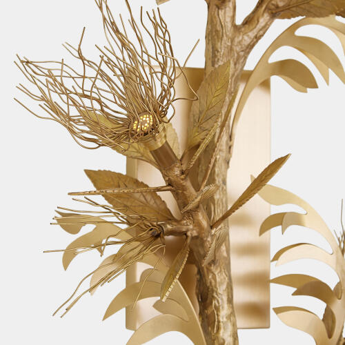 Albizia Wall Sconce