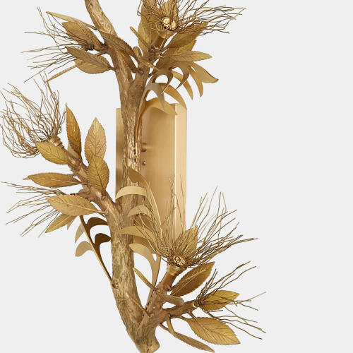 Albizia Wall Sconce