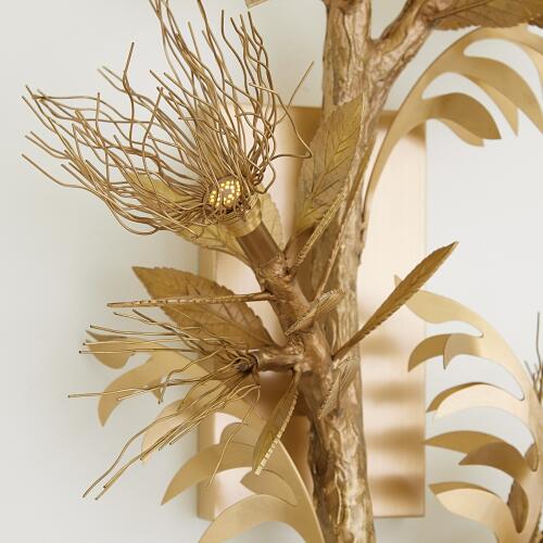 Albizia Wall Sconce