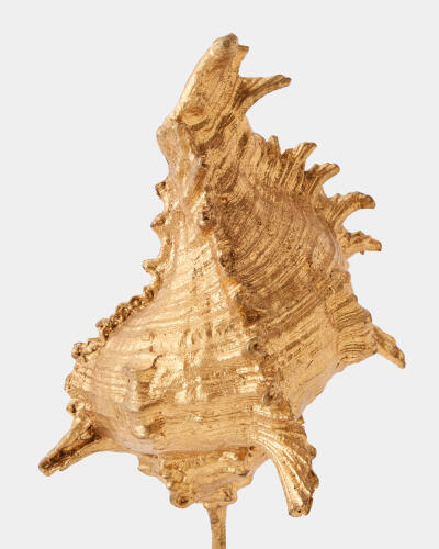 Shells on Marble Miter Gold Leaf-Sm