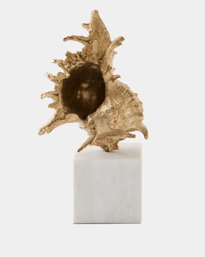 Spider Conch Shell Sculpture-Brass