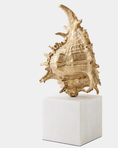 Spider Conch Shell Sculpture-Brass