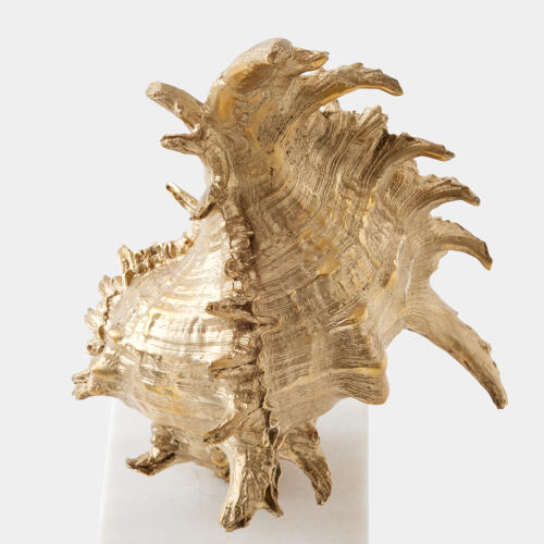 Spider Conch Shell Sculpture-Brass