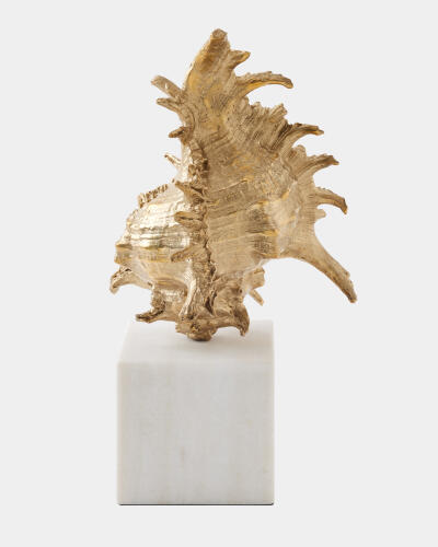 Spider Conch Shell Sculpture-Brass