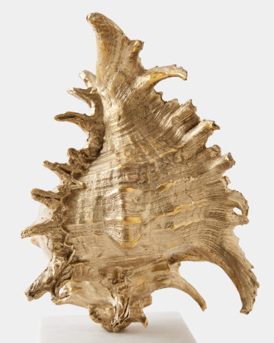 Spider Conch Shell Sculpture-Brass