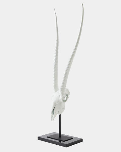 Gemsbok Skull Sculpture-Matte White