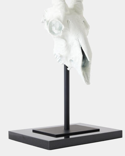 Gemsbok Skull Sculpture-Matte White