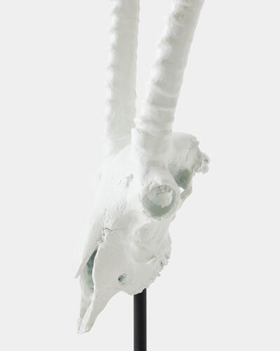 Gemsbok Skull Sculpture-Matte White
