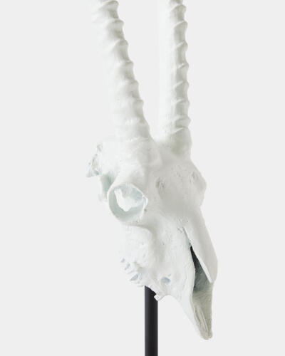 Gemsbok Skull Sculpture-Matte White