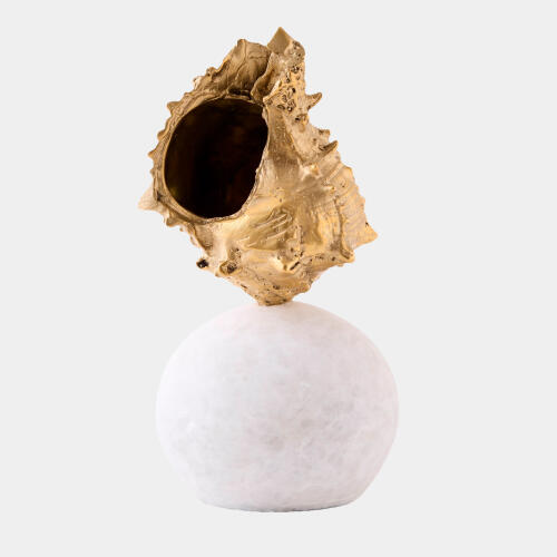 Kings Crown Shell Sculpture