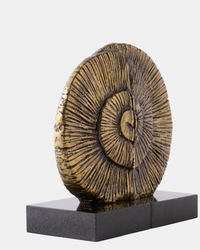 Ammonite Shell Bookends