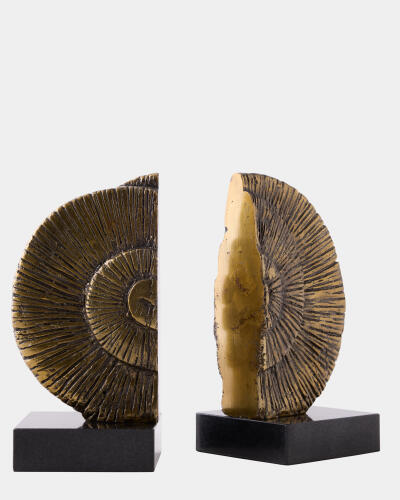 Ammonite Shell Bookends