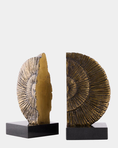 Ammonite Shell Bookends