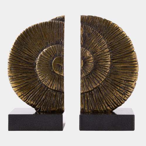 ammonite shell bookends