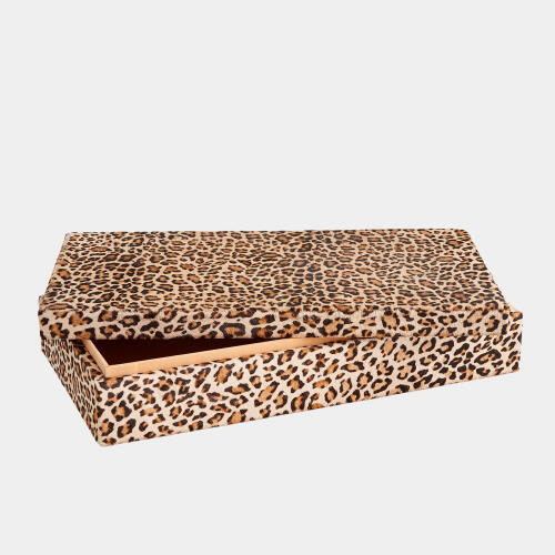 Pelo Box-Cheetah