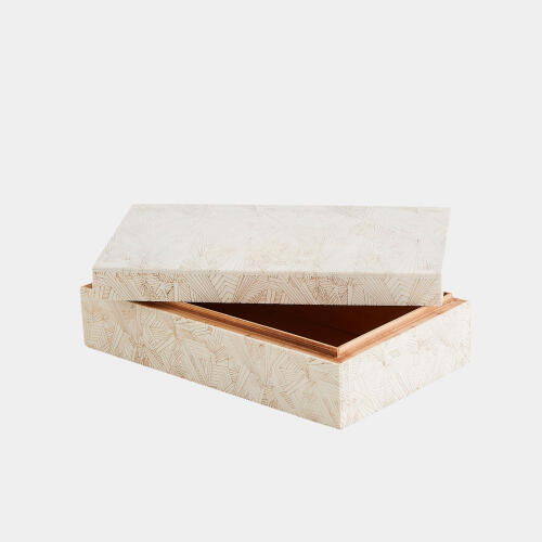 Searchlight Box-Ivory