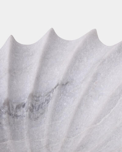 Turbinio Shell Bowl-White