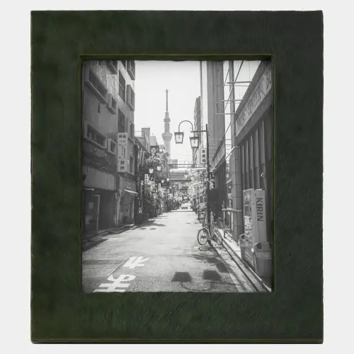 posh picture frame-8x10-green hair-on-hide