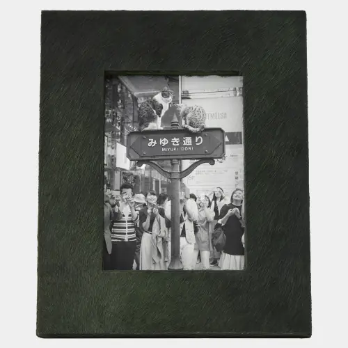 Posh Picture Frame-5x7-Green Hair-on-Hide