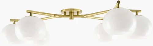 abrs-006