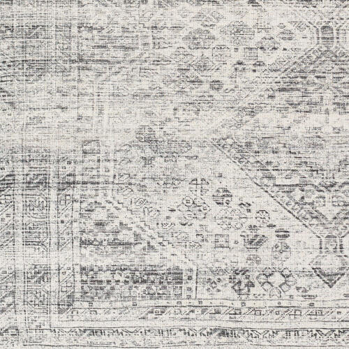 AML-2381