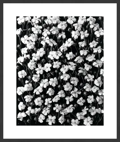 arfl-001