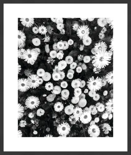 arfl-002