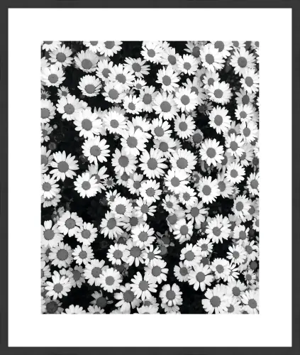 arfl-003