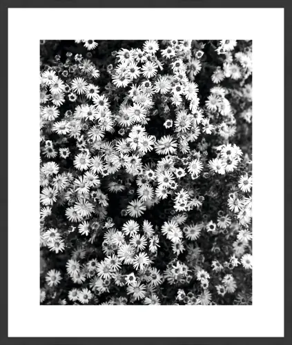 arfl-004