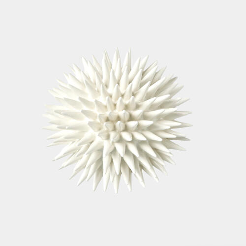 urchin-ashley childers-white