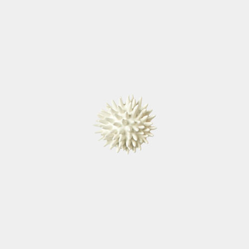 Urchin-Ashley Childers-White
