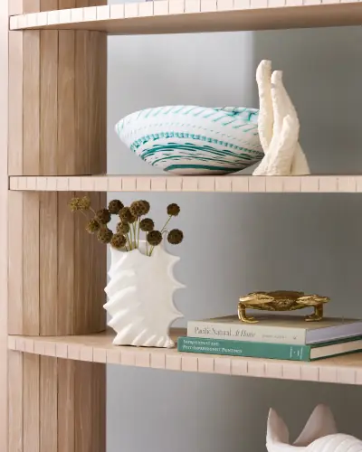 Luna Bookshelf