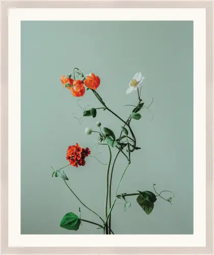 aton-011